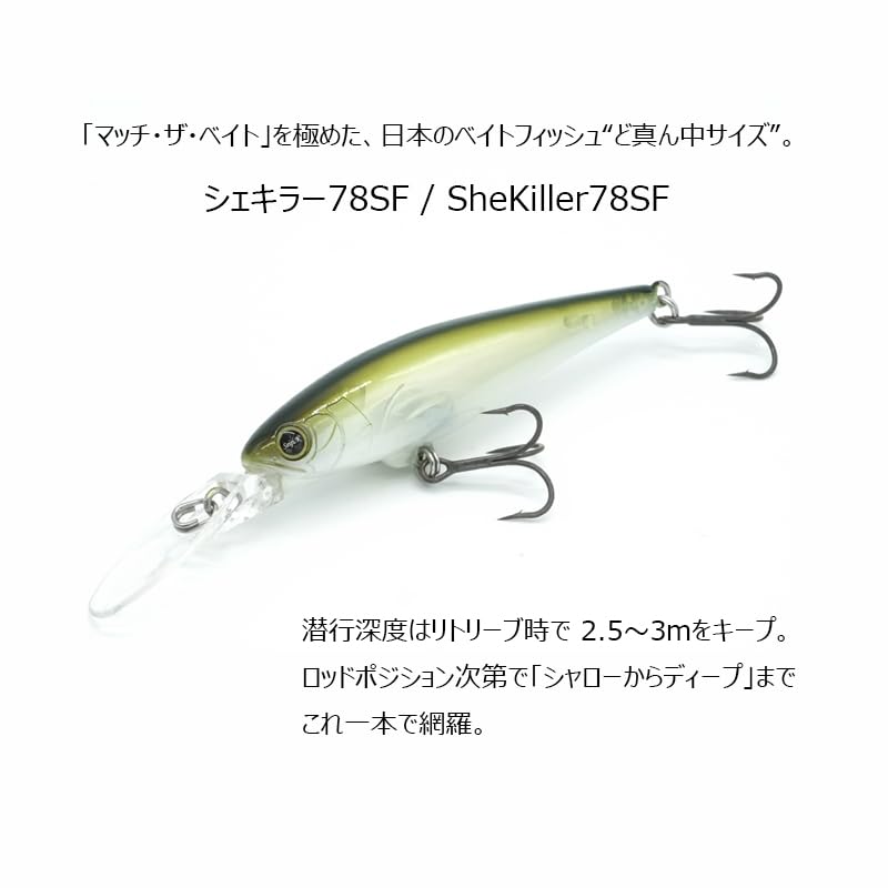 Amazon.co.jp: レヴォニック（REVONIK） シェキラー78SF